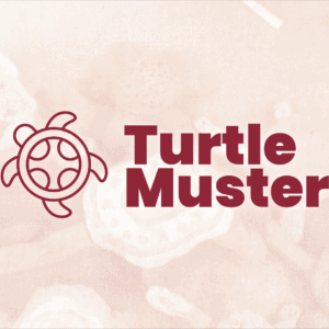 2020 Turtle Muster