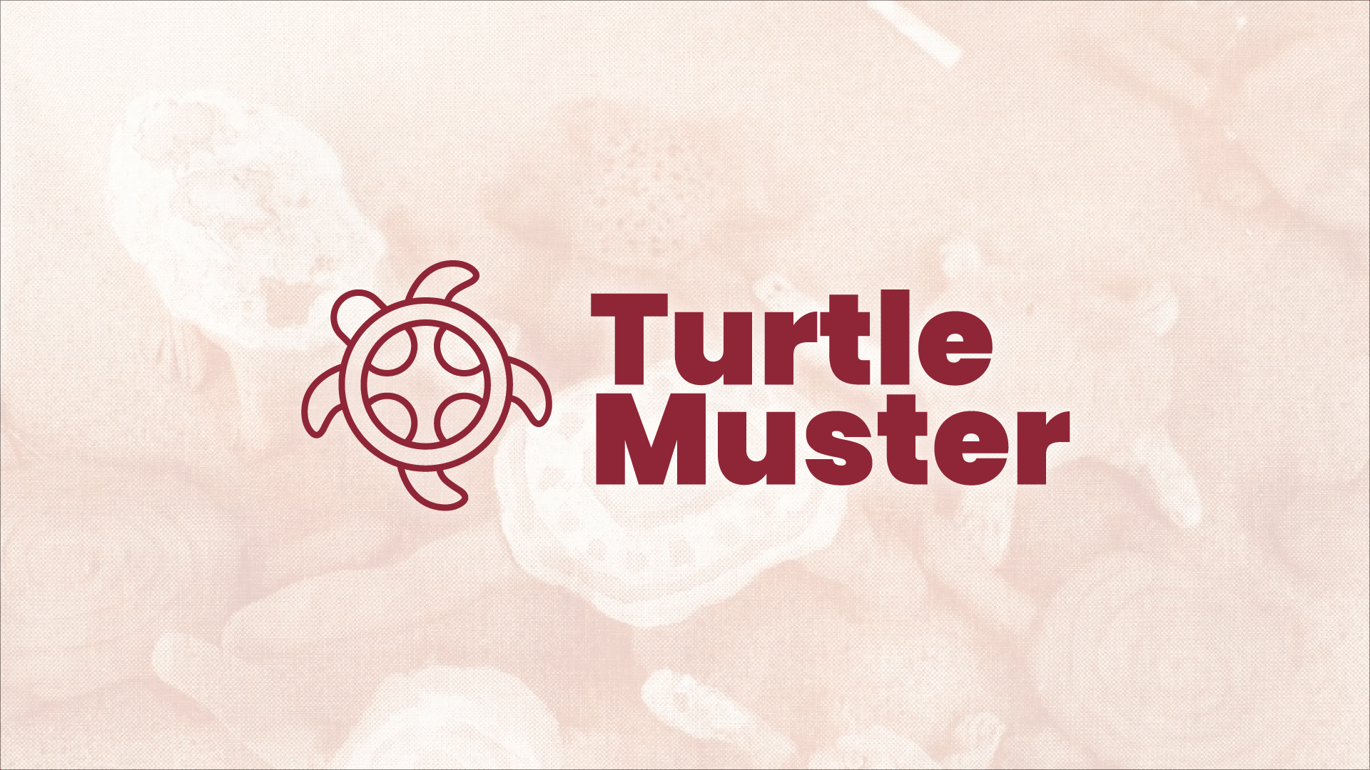 2020 Turtle Muster