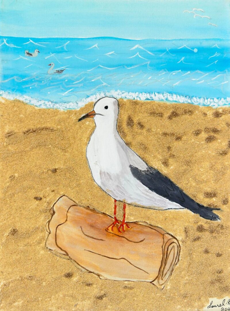 Seagull  - Laurel Robinson