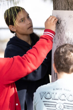 Munarra Gunyah Project 15