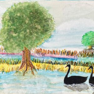 Black Swan on lake - Painting - Laurel Robinson