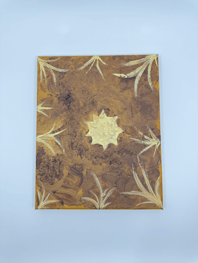 Traditional Grasses On Country- Nurtured by the sun  - Sonya Minni Briggs