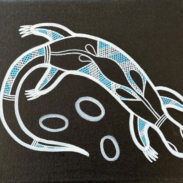Dreaming Spirit - Steven Baksh