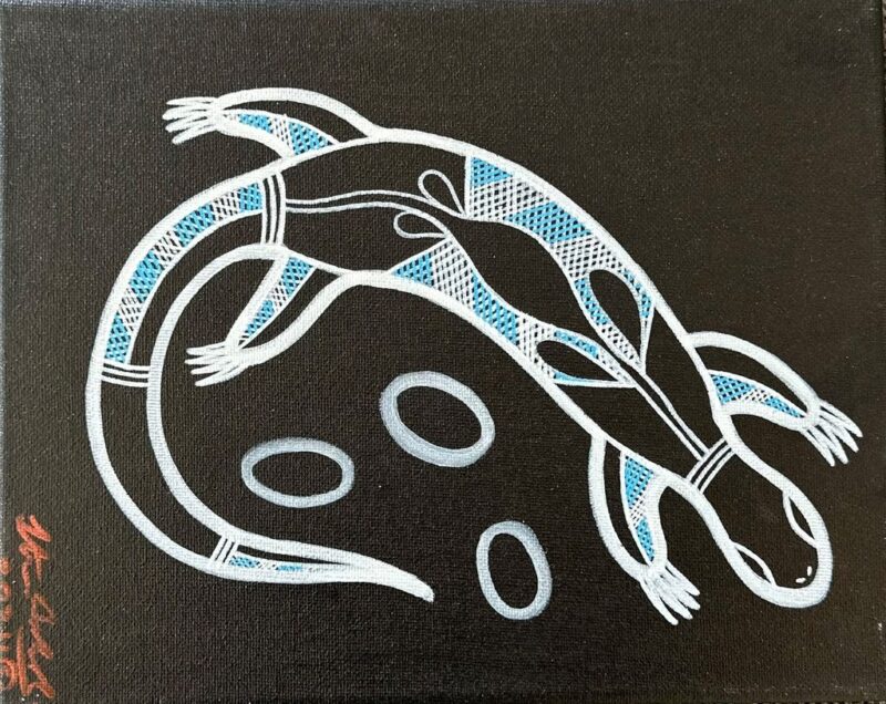 Dreaming Spirit - Steven Baksh