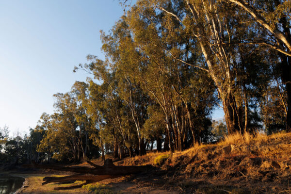 a-KINnected-2024-(High-Res)-6