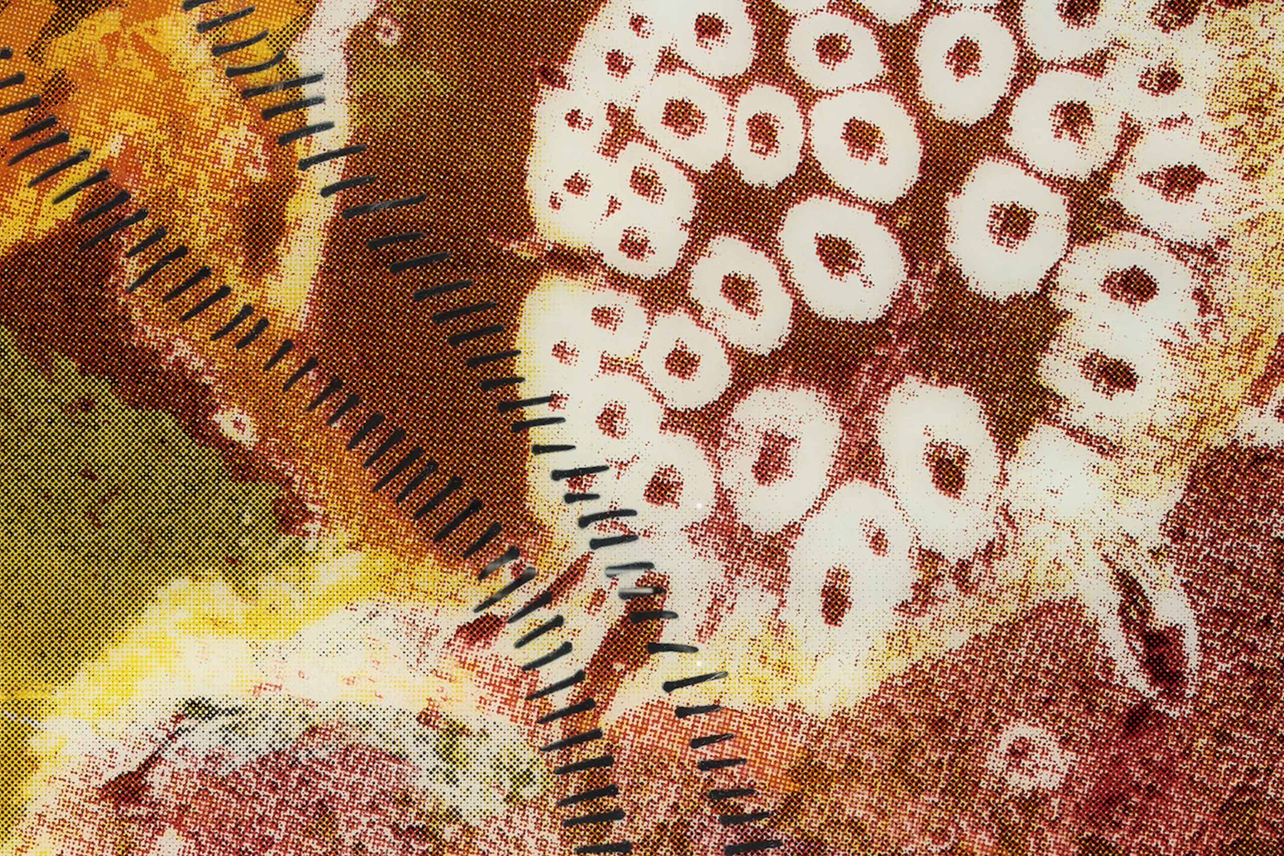 Unseen Country: Kaiela Arts Editions Artwork Revealed!