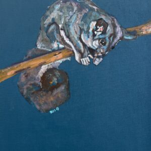 Squirrel glider (Petaurus norfolcensis) - Painting - Roslyn  Lockhart
