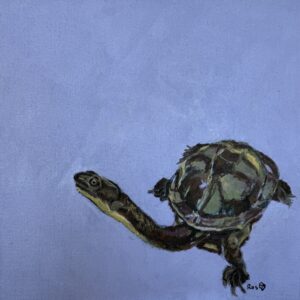 Long Neck Turtle - Painting - Roslyn  Lockhart
