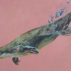 Wala, Gula, Biladang - Platypus