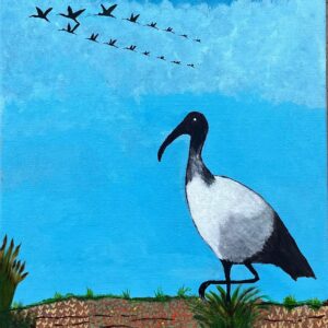 Ibis
