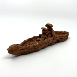 Canoe with 2 People
