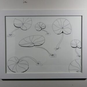 Lilly Pads
