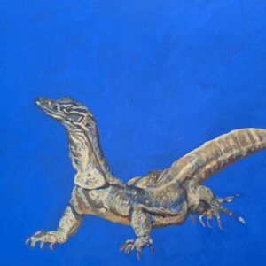 The Sand Goanna