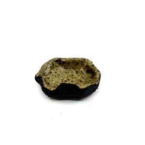 Tiny dish bowl #5