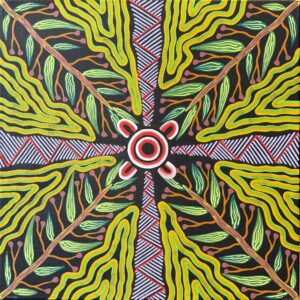 Bush Medicine (Gum leaves)