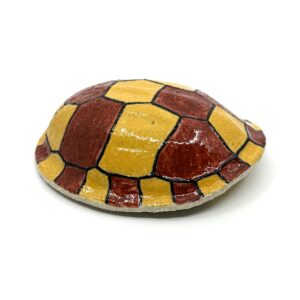 Small Bayadherra Shell 3