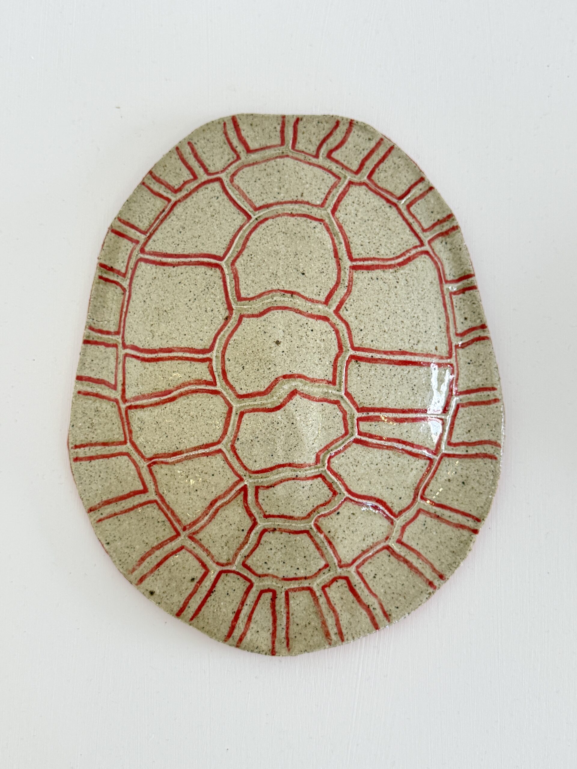 Medium Bayadherra Shell 1