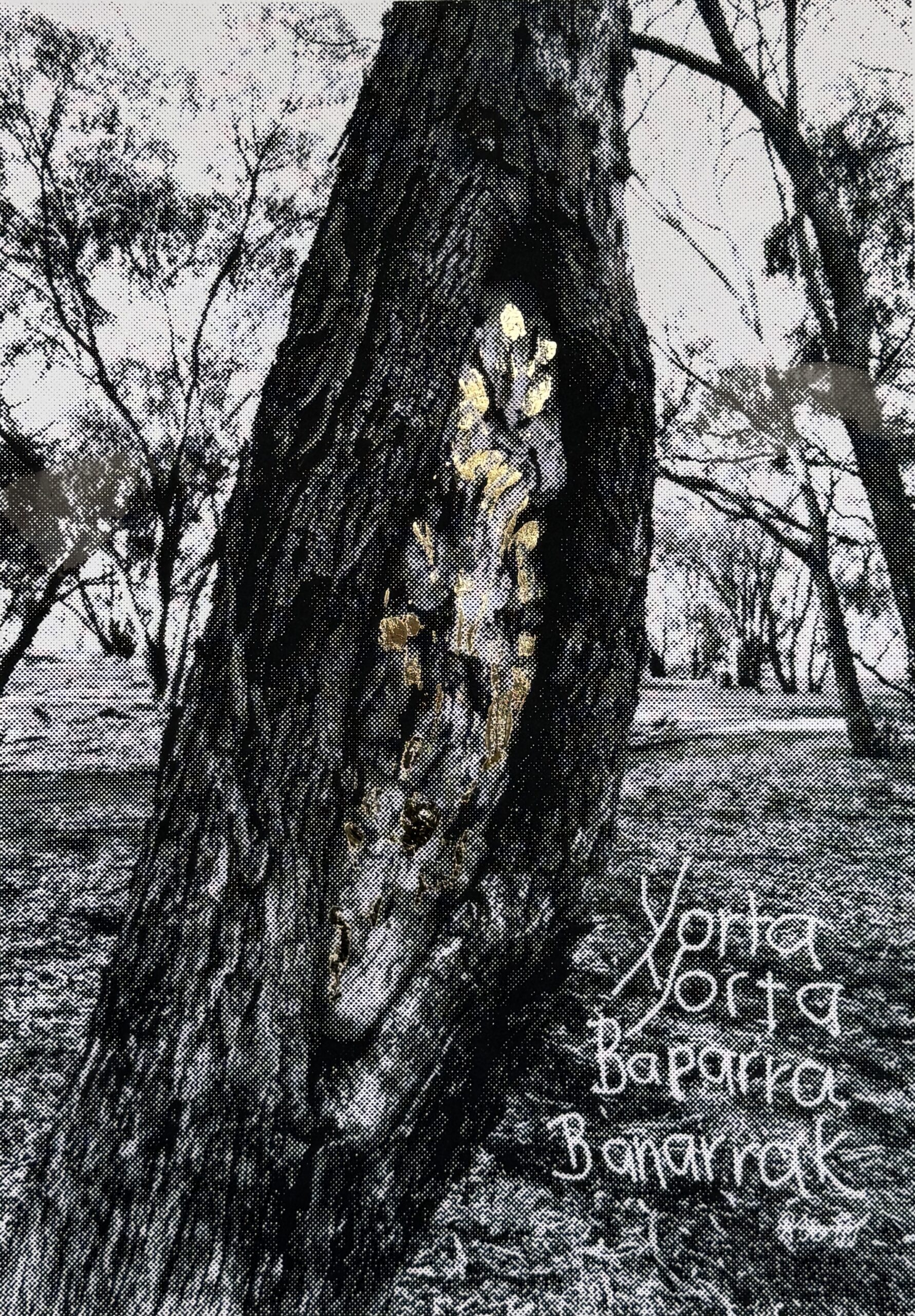 Yorta Yorta Baparra Banarrak