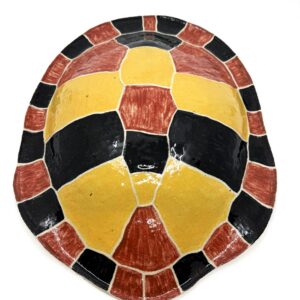 Large bayadherra shell 1