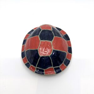 Small bayadherra shell 1