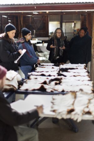 Possum skin cloak making at a KINnected Camp, 2024