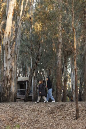 Walking through the gums on Yorta Yorta Country, KINnected Camp 2024