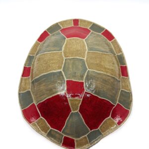 Large Bayadherra Shell 5