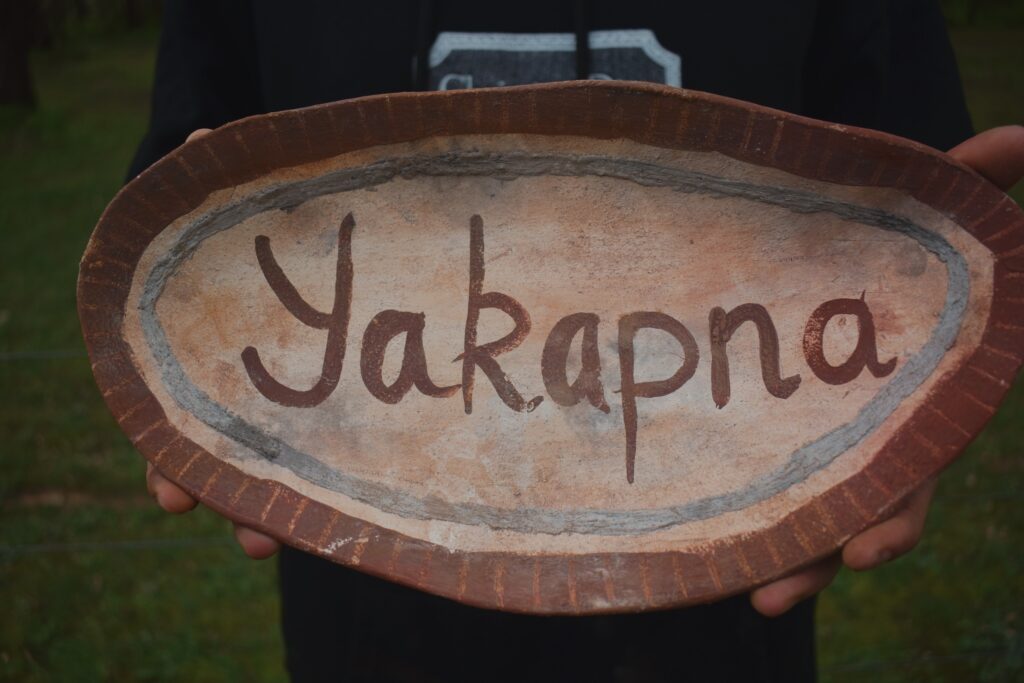 Yakapna Coolamon by Ally Knight, 2026, held in two hands